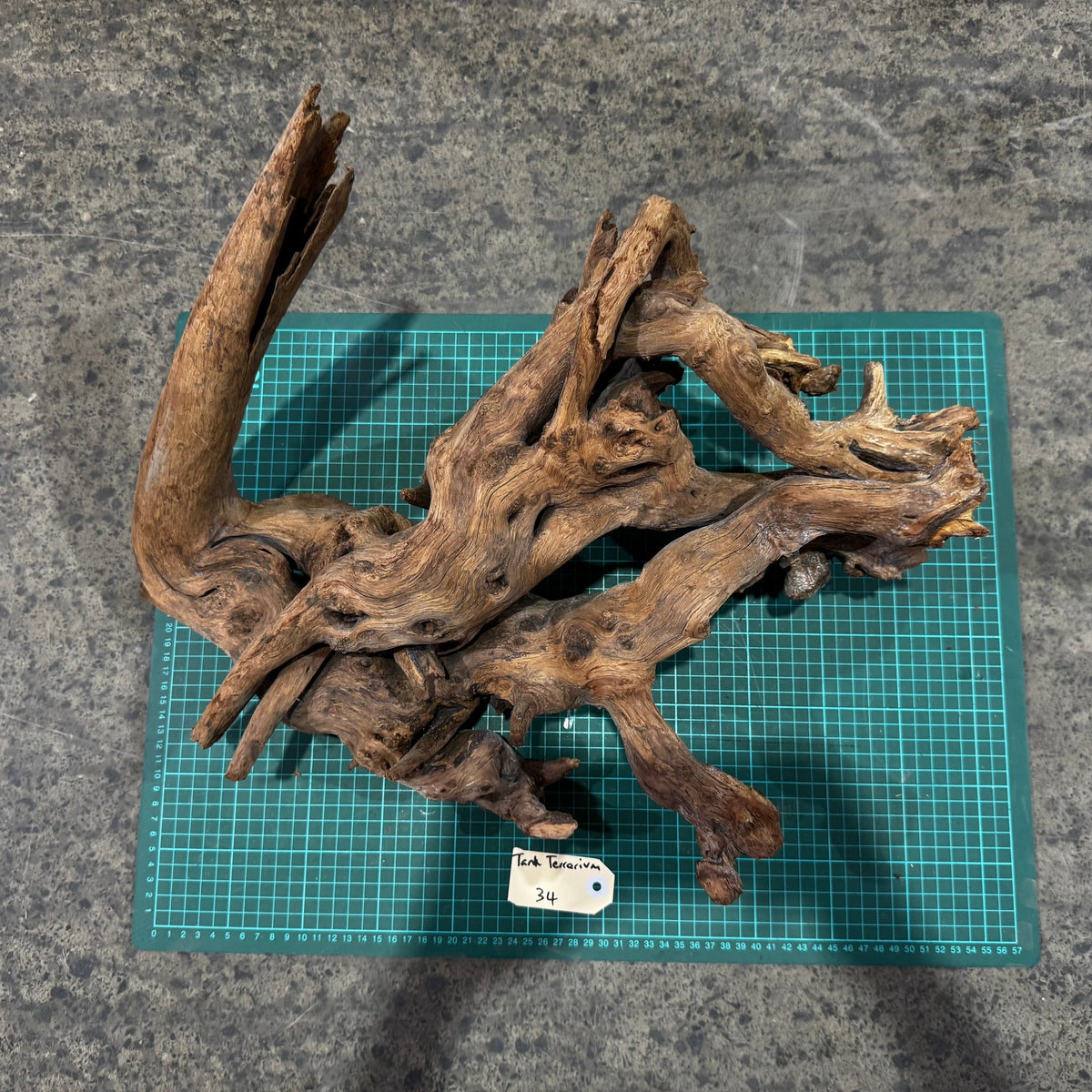 Wood 34 - Mekong River Driftwood Massive - One Only - Tank Terrarium Australia Woods