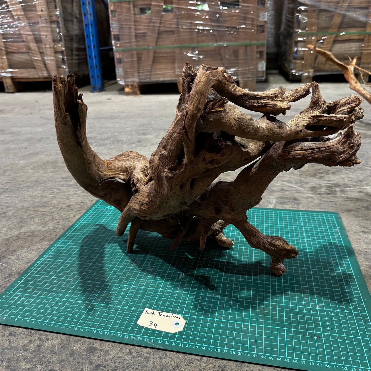 Wood 34 - Mekong River Driftwood Massive - One Only - Tank Terrarium Australia Woods