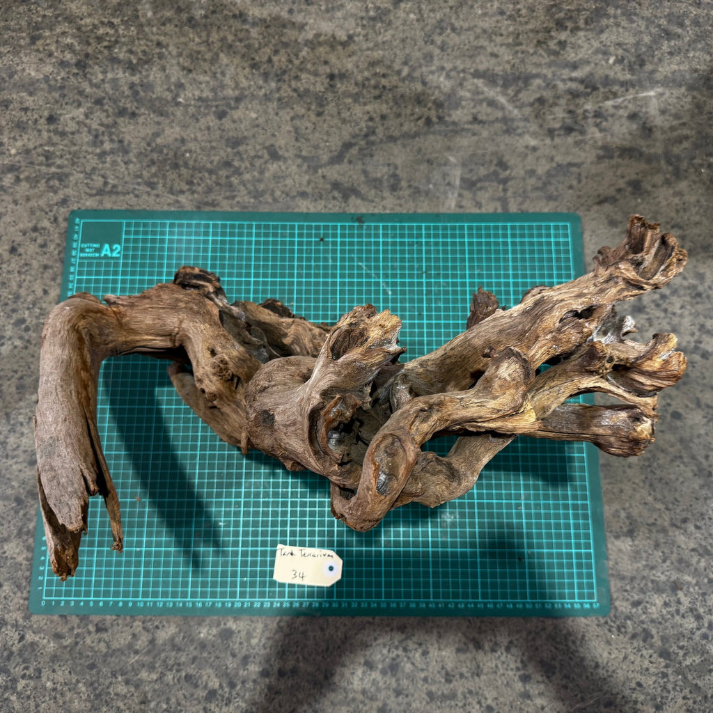 Wood 34 - Mekong River Driftwood Massive - One Only - Tank Terrarium Australia Woods