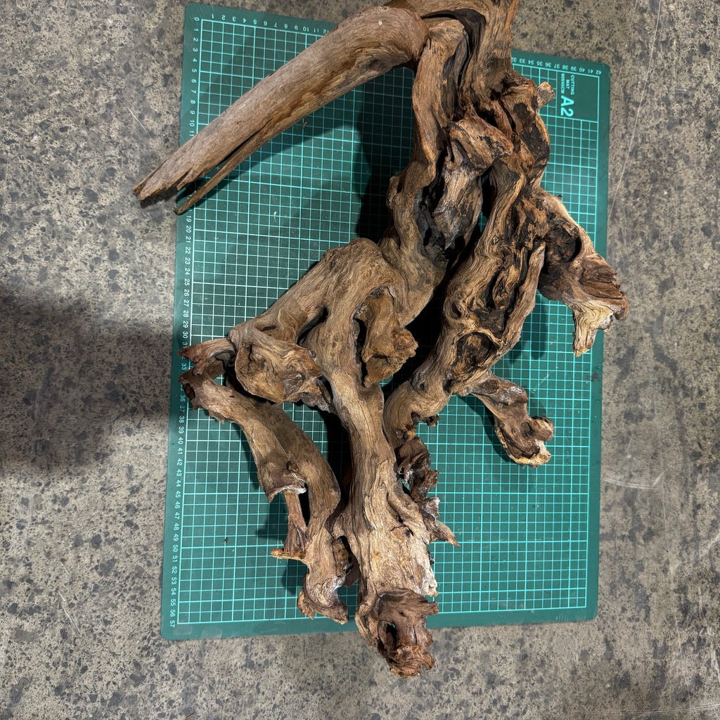 Wood 34 - Mekong River Driftwood Massive - One Only - Tank Terrarium Australia Woods