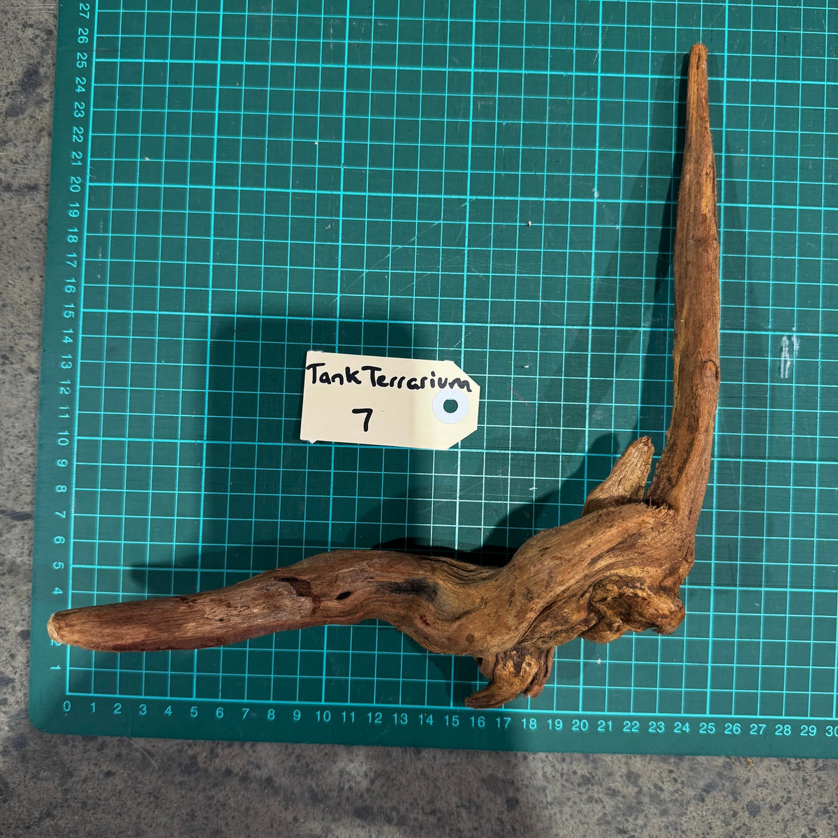 Wood 7 - Mekong River Driftwood Small - One Only - Tank Terrarium Australia Woods
