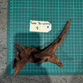Wood 8 - Mekong River Driftwood Small - One Only - Tank Terrarium Australia Woods