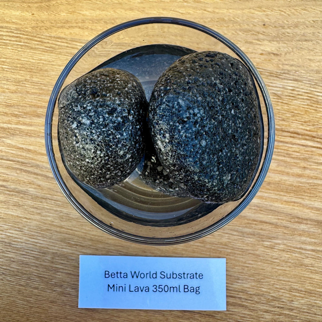 Betta World Substrate - Mini Lava Stones 350ml Bag - Tank Terrarium Australia Betta World