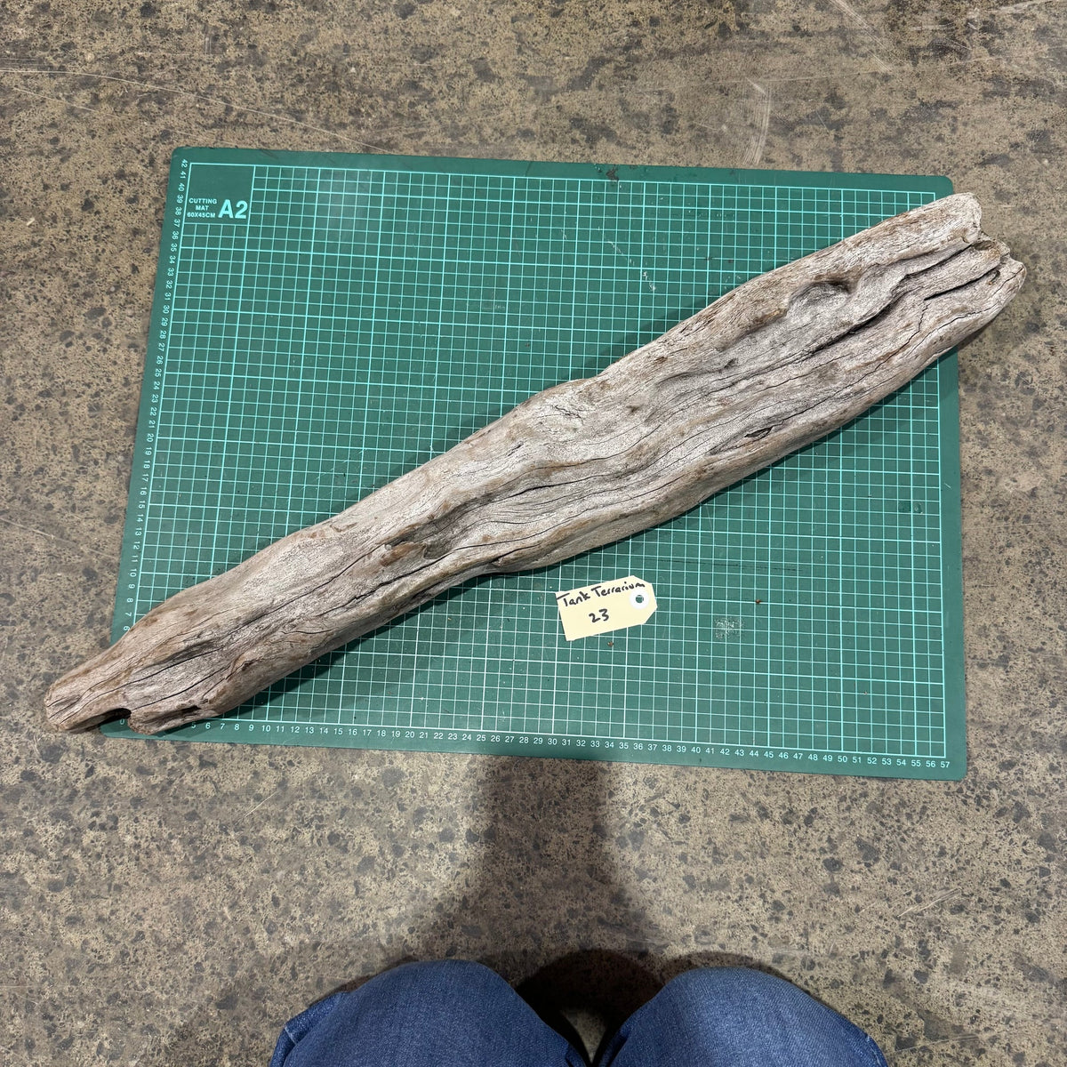 Wood 23 - New Zealand Exotic Driftwood Large - One Only - Tank Terrarium Australia Woods
