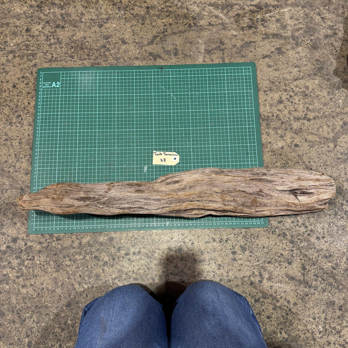 Wood 23 - New Zealand Exotic Driftwood Large - One Only - Tank Terrarium Australia Woods