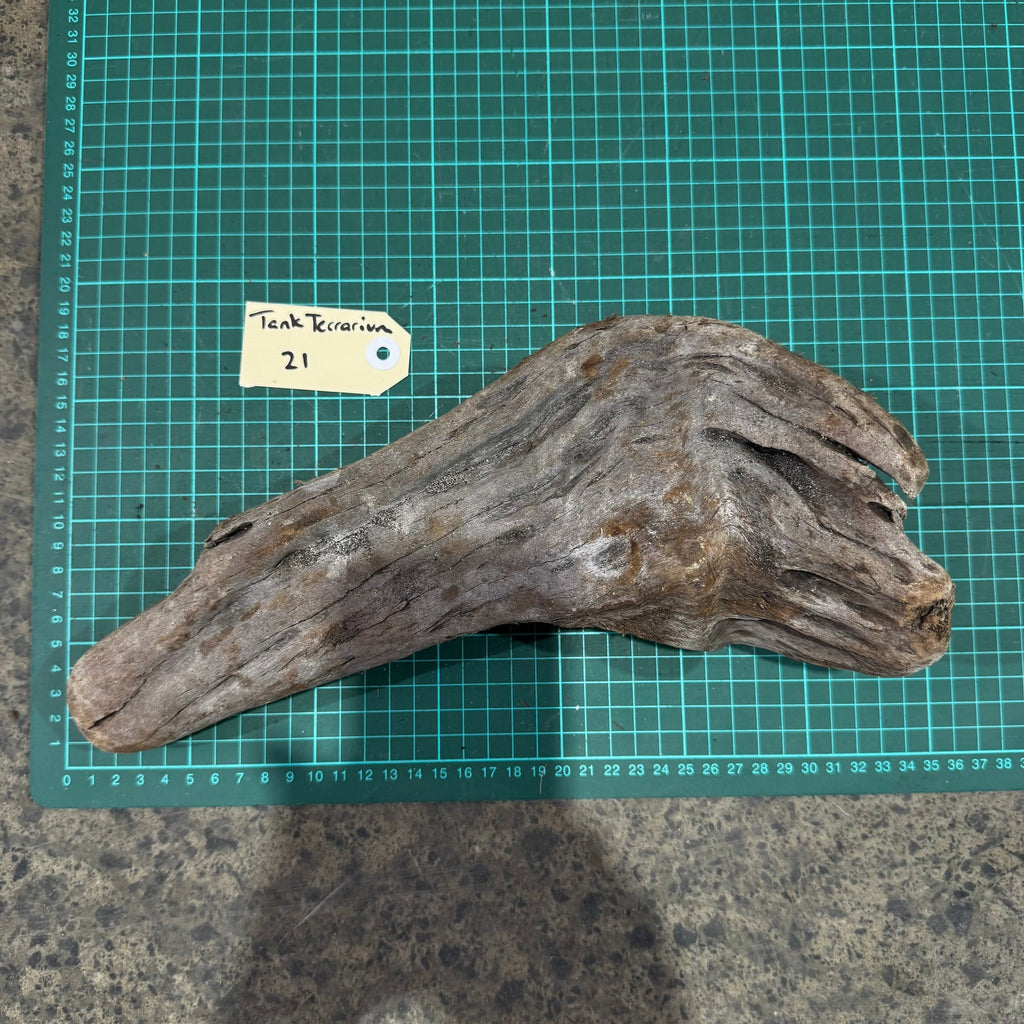 Wood 21 - New Zealand Exotic Driftwood Medium - One Only - Tank Terrarium Australia Woods
