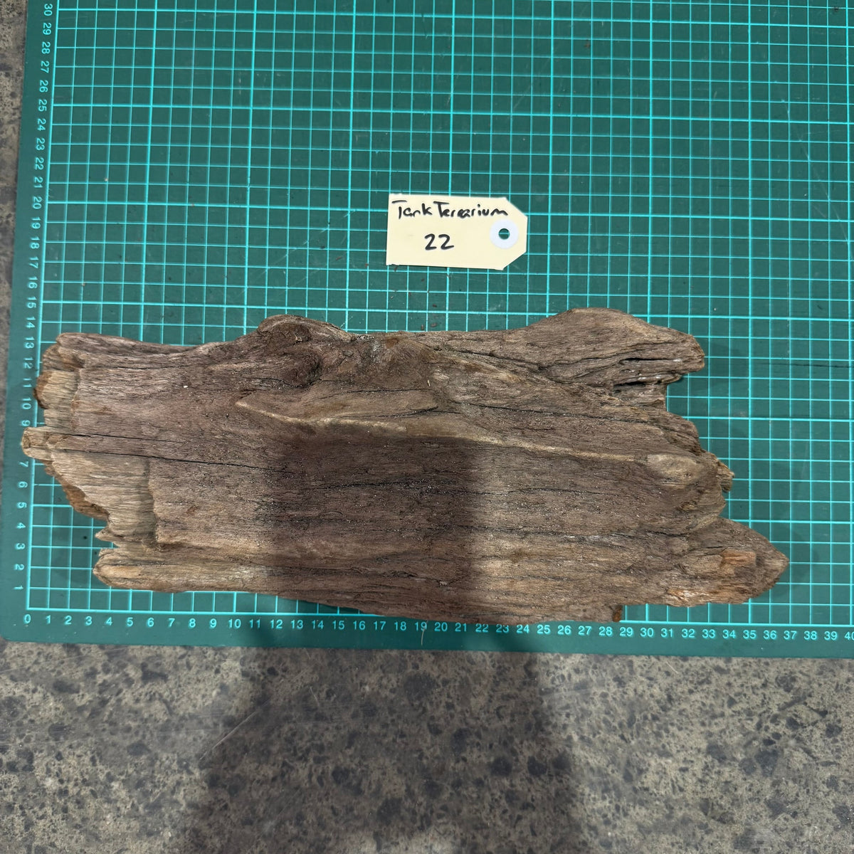 Wood 22 - New Zealand Exotic Driftwood Medium - One Only - Tank Terrarium Australia Woods