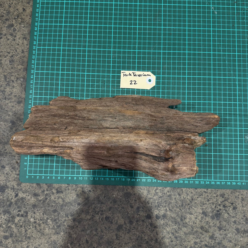 Wood 22 - New Zealand Exotic Driftwood Medium - One Only - Tank Terrarium Australia Woods