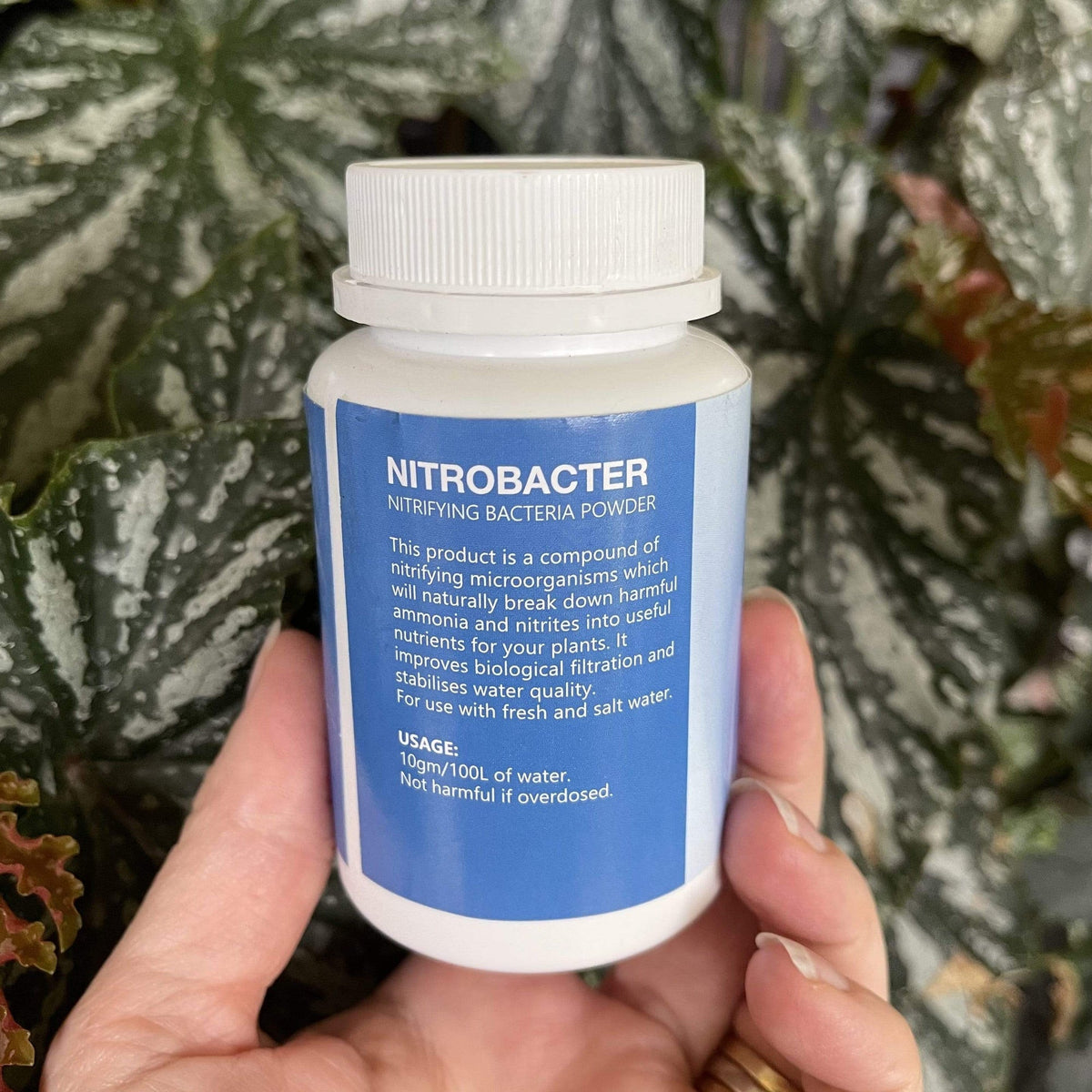 Nitrobacter - Nitrifying Bacteria Powder - Pisces Aquatics - Tank Terrarium Australia Aquarium Water Treatment