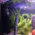 F800 Internal Aquarium Filter - Pisces Aquatics - Tank Terrarium Australia Aquarium Filter