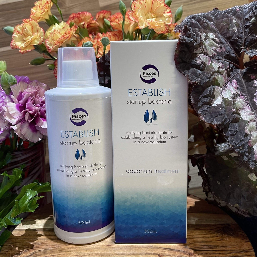 Pisces ESTABLISH Beneficial Bacteria - Tank Terrarium Australia Aquarium Water Treatment