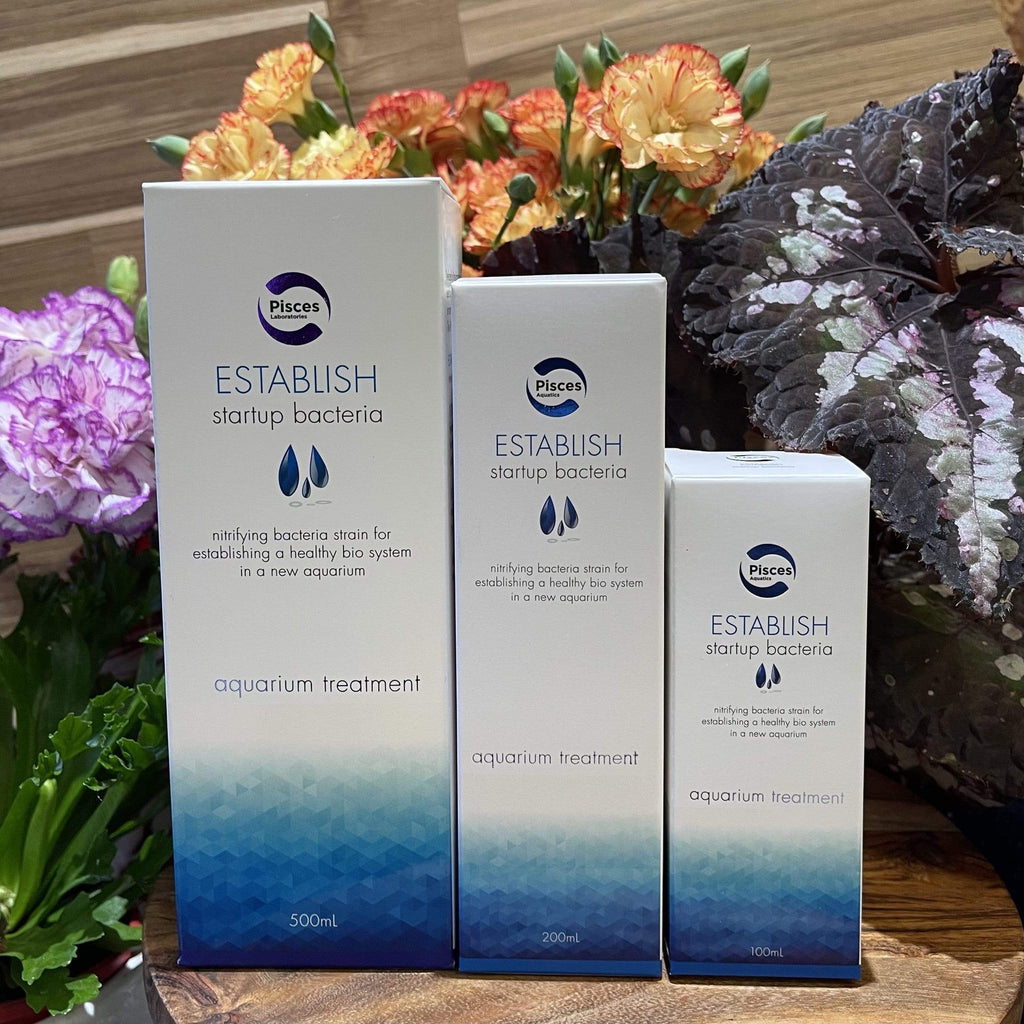Pisces ESTABLISH Beneficial Bacteria - Tank Terrarium Australia Aquarium Water Treatment