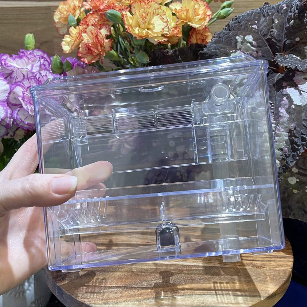 Pisces Breeding Box BB-11 - Tank Terrarium Australia Breeding Box