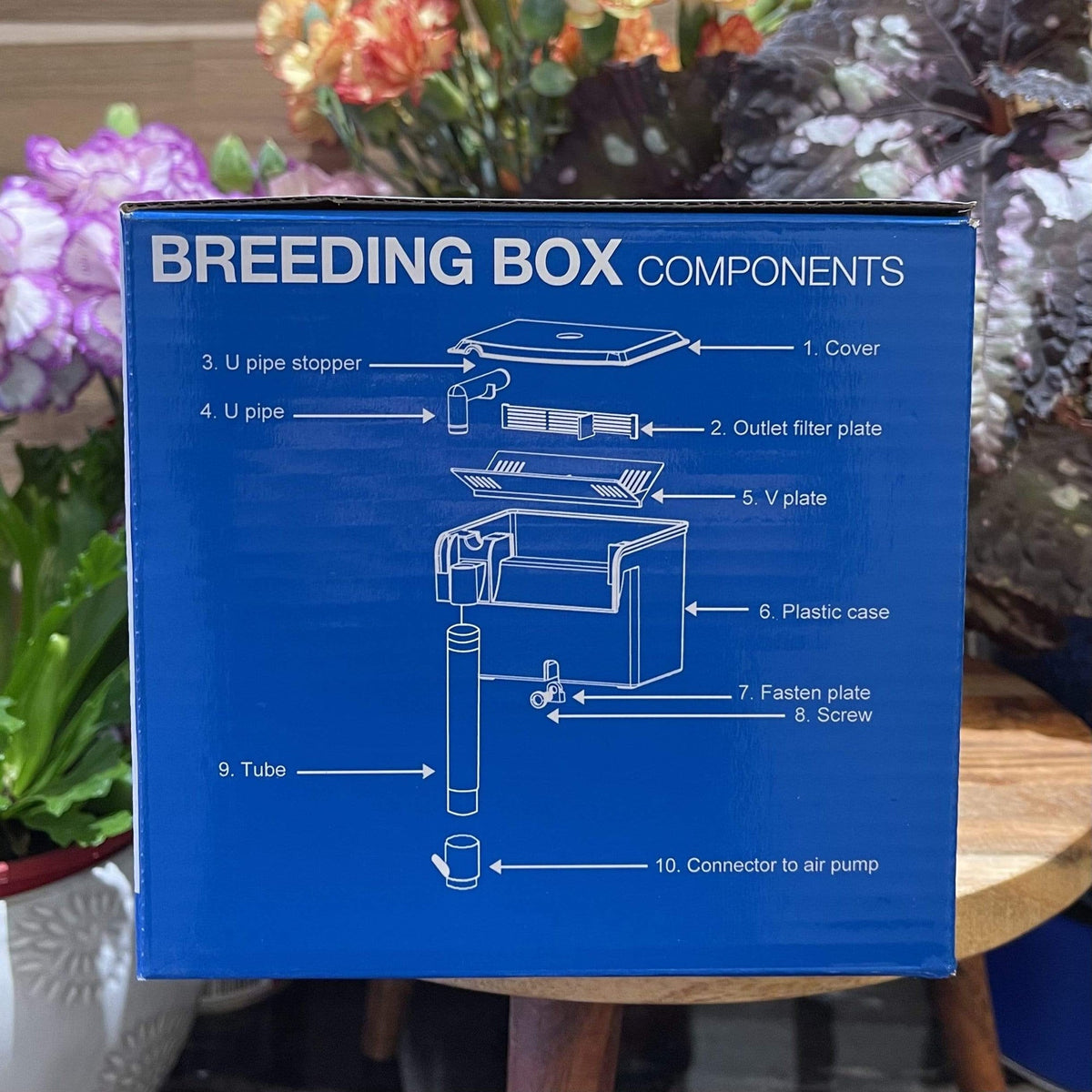 Pisces Breeding Box BB-11 - Tank Terrarium Australia Breeding Box