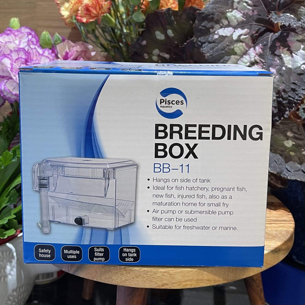 Pisces Breeding Box BB-11 - Tank Terrarium Australia Breeding Box