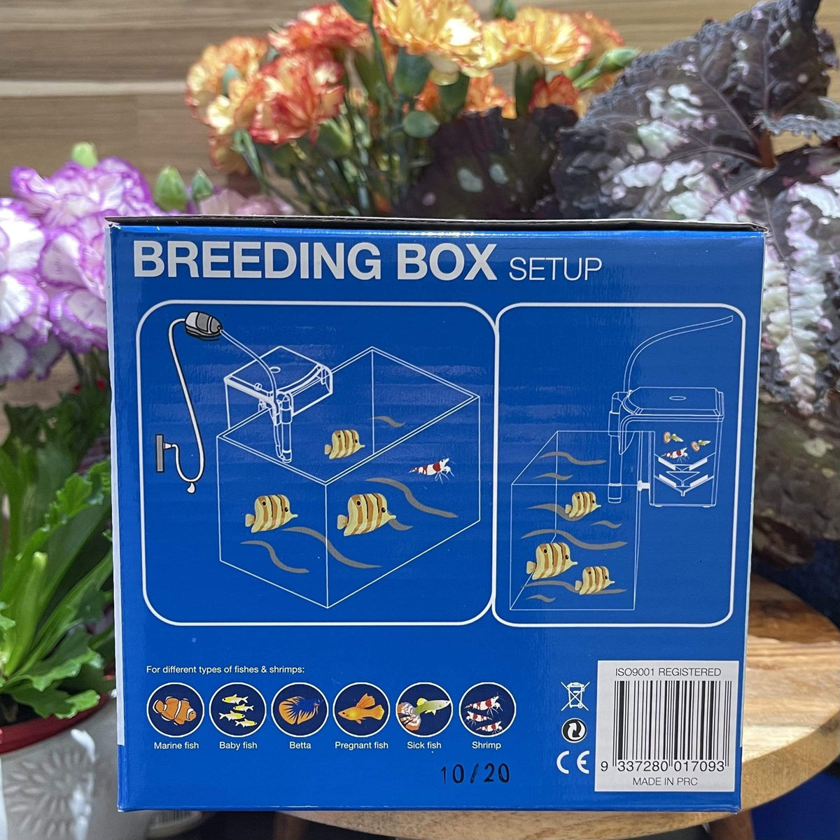 Pisces Breeding Box BB-11 - Tank Terrarium Australia Breeding Box