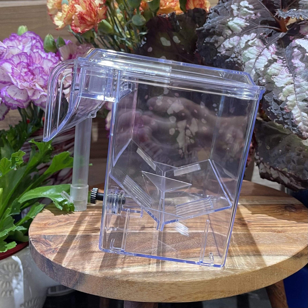 Pisces Breeding Box BB-11 - Tank Terrarium Australia Breeding Box