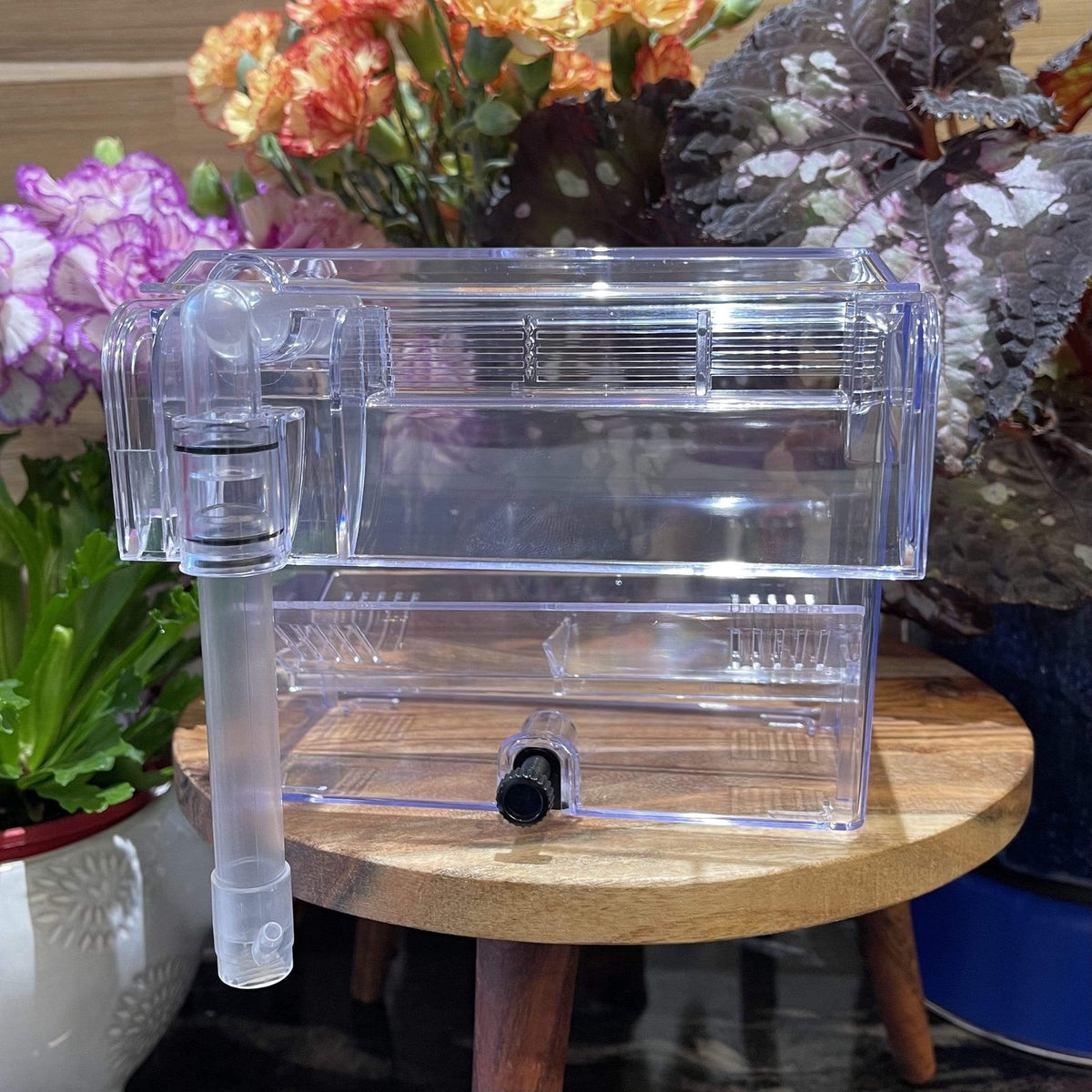 Pisces Breeding Box BB-11 - Tank Terrarium Australia Breeding Box