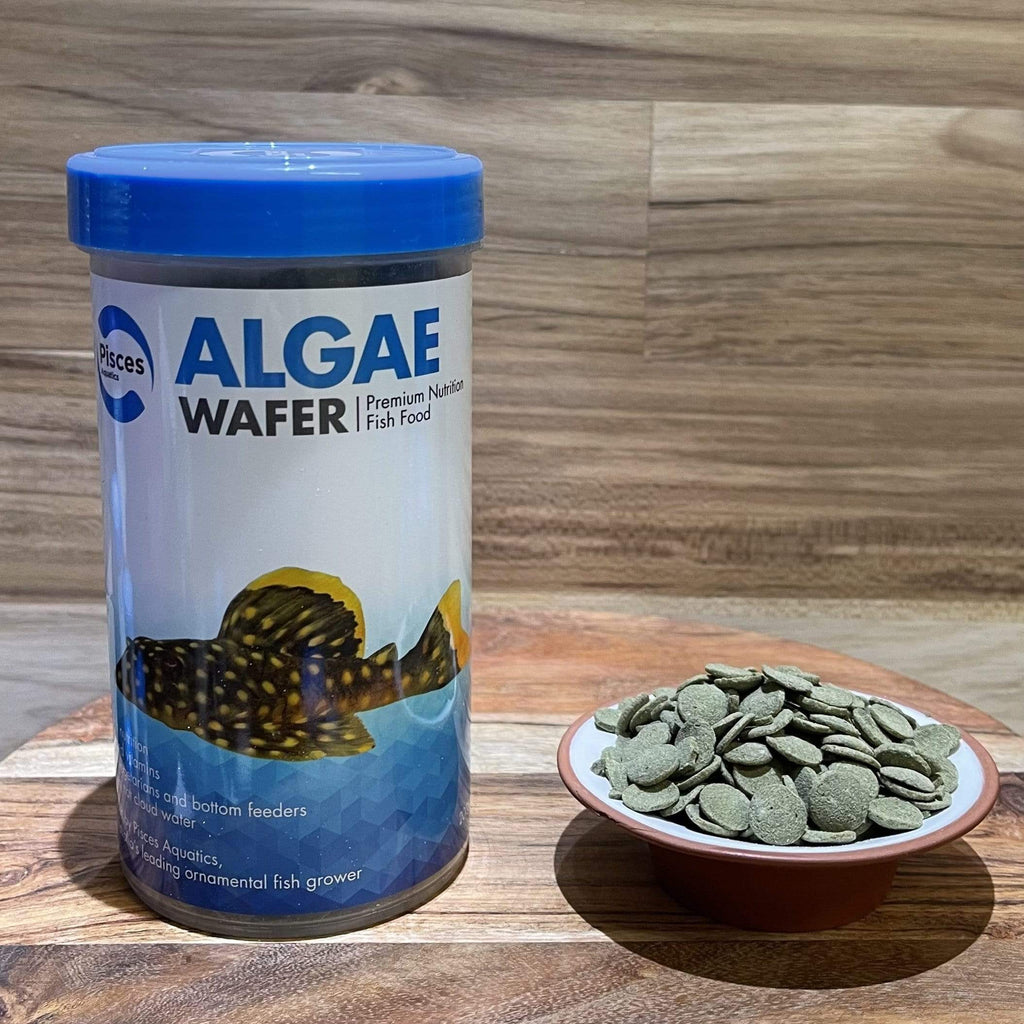 Algae Wafer Fish Food - Pisces Aquatics - Tank Terrarium Australia Fish Food