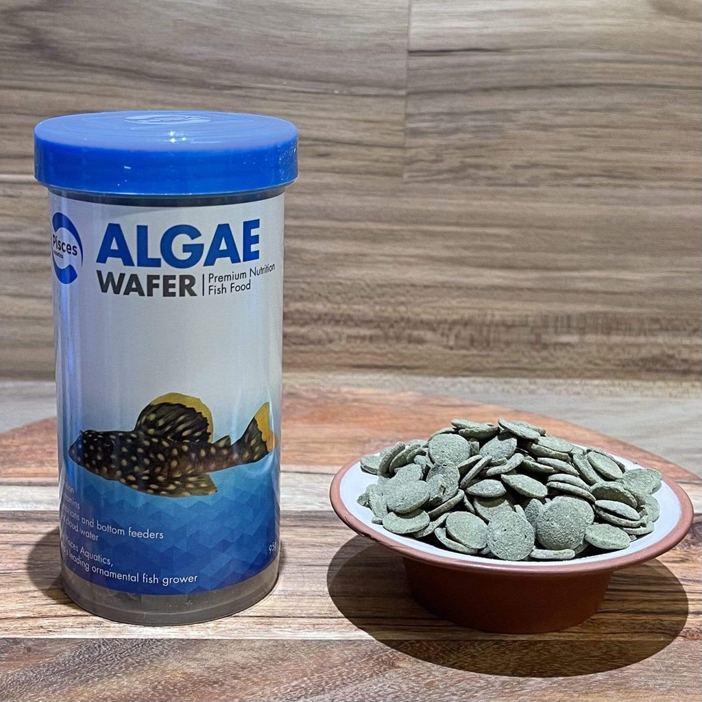 Algae Wafer Fish Food - Pisces Aquatics - Tank Terrarium Australia Fish Food