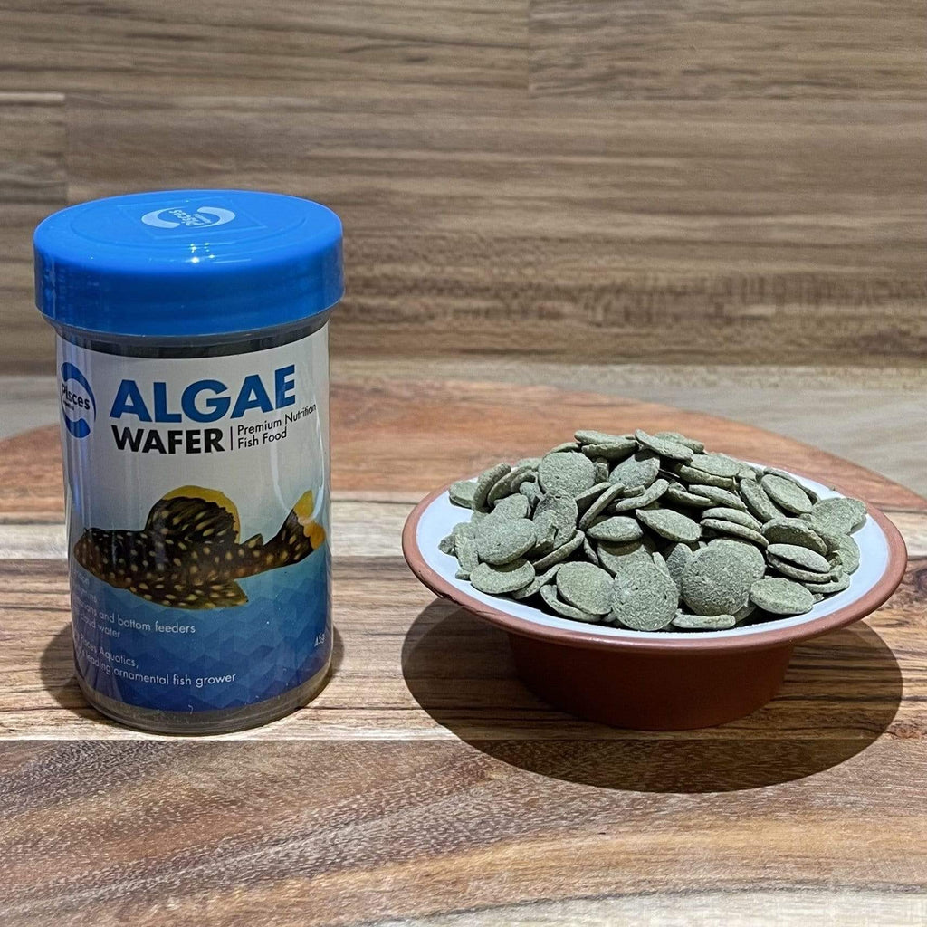 Algae Wafer Fish Food - Pisces Aquatics - Tank Terrarium Australia Fish Food