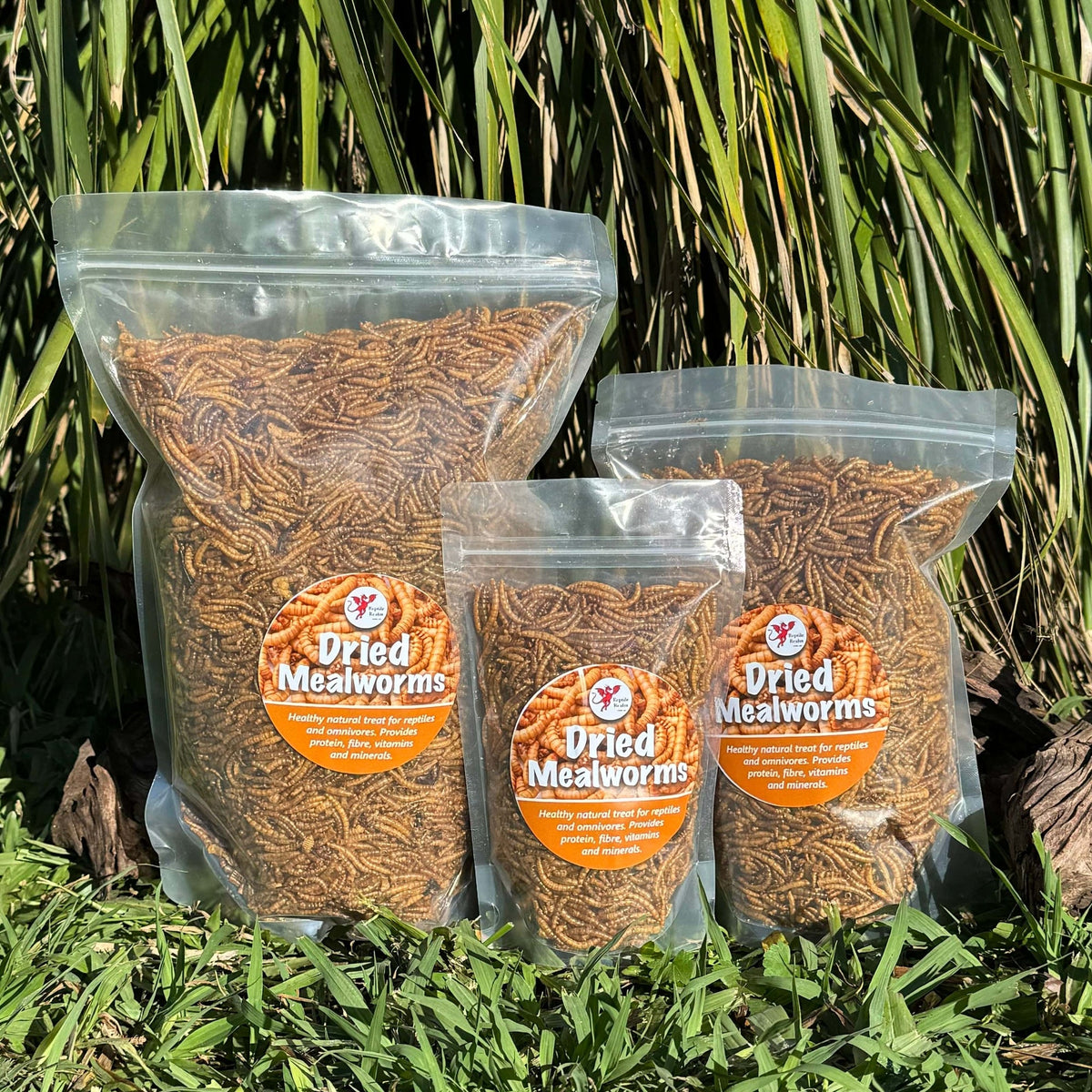 Dried Mealworms - Reptile Realm - Tank Terrarium Australia Dried Insects