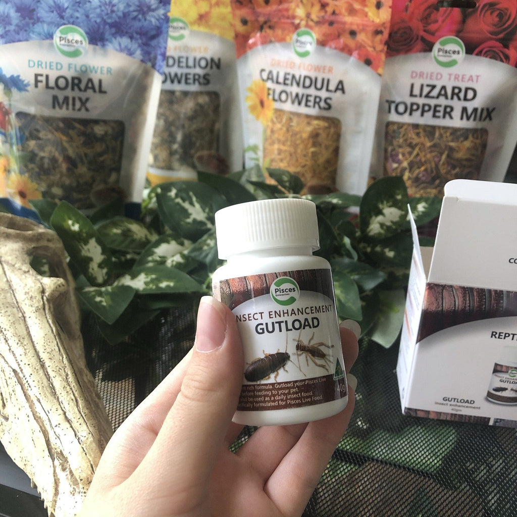 Pisces Complete Reptile Supplement Pack - Tank Terrarium Australia Supplement