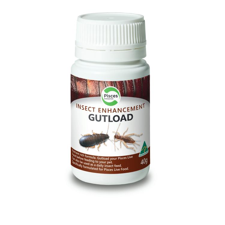 Pisces Gutload Insect Enhancement 40g - Tank Terrarium Australia Supplement