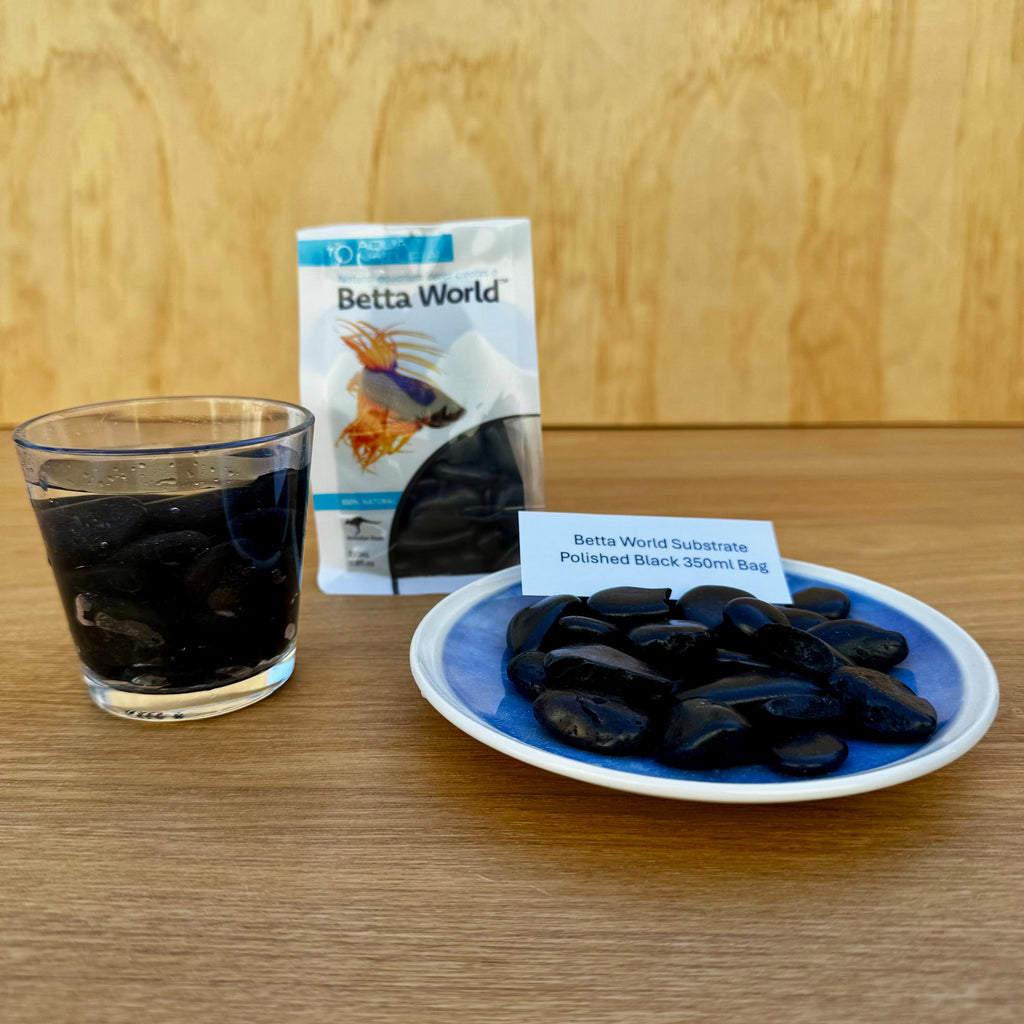 Betta World Substrate - Polished Black Betta Pebbles 350ml Bag - Tank Terrarium Australia Betta World