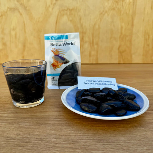 Betta World Substrate - Polished Black Betta Pebbles 350ml Bag - Tank Terrarium Australia Betta World