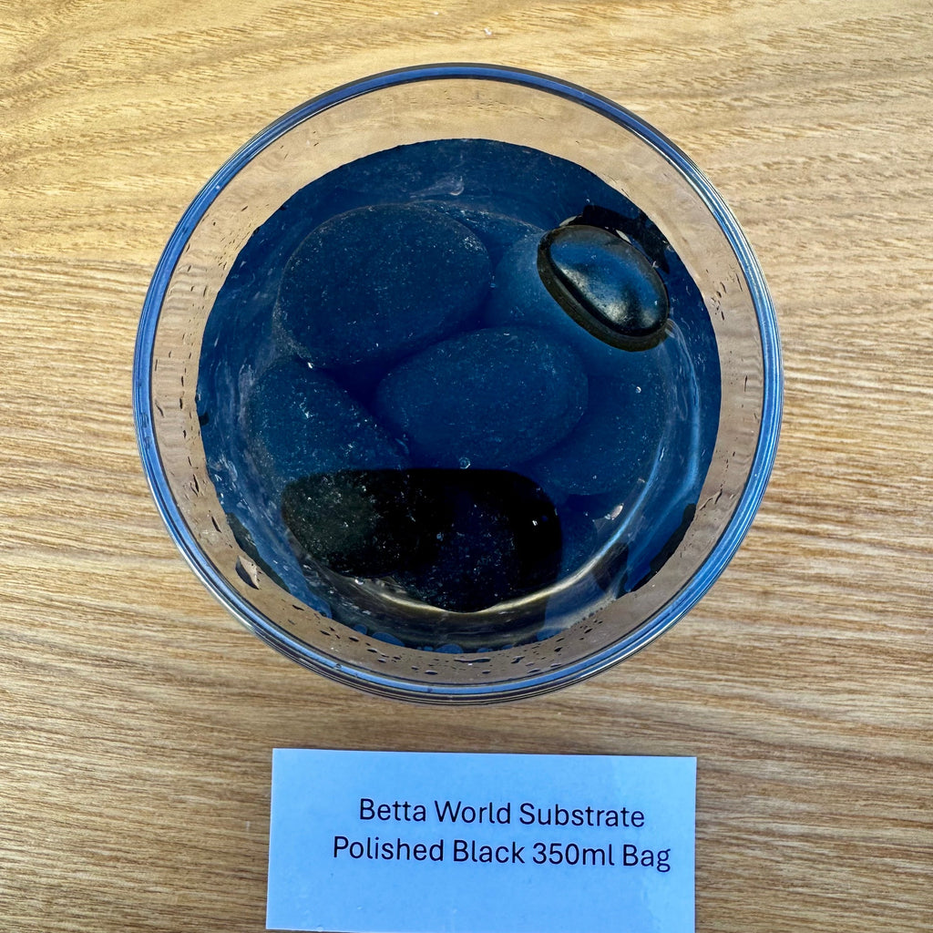 Betta World Substrate - Polished Black Betta Pebbles 350ml Bag - Tank Terrarium Australia Betta World