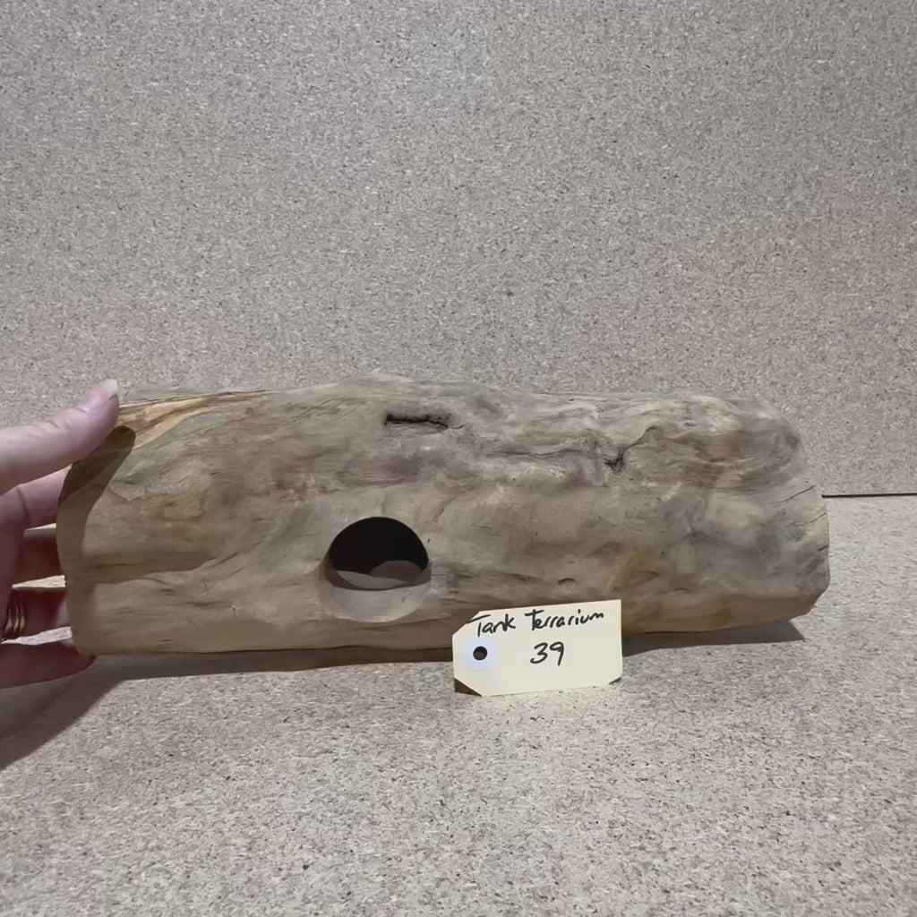 Wood 39 - Coffeewood Reptile Hide - Large - One Only