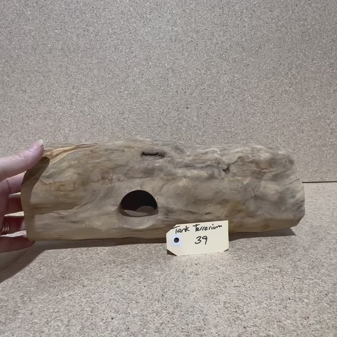 Wood 39 - Coffeewood Reptile Hide - Large - One Only