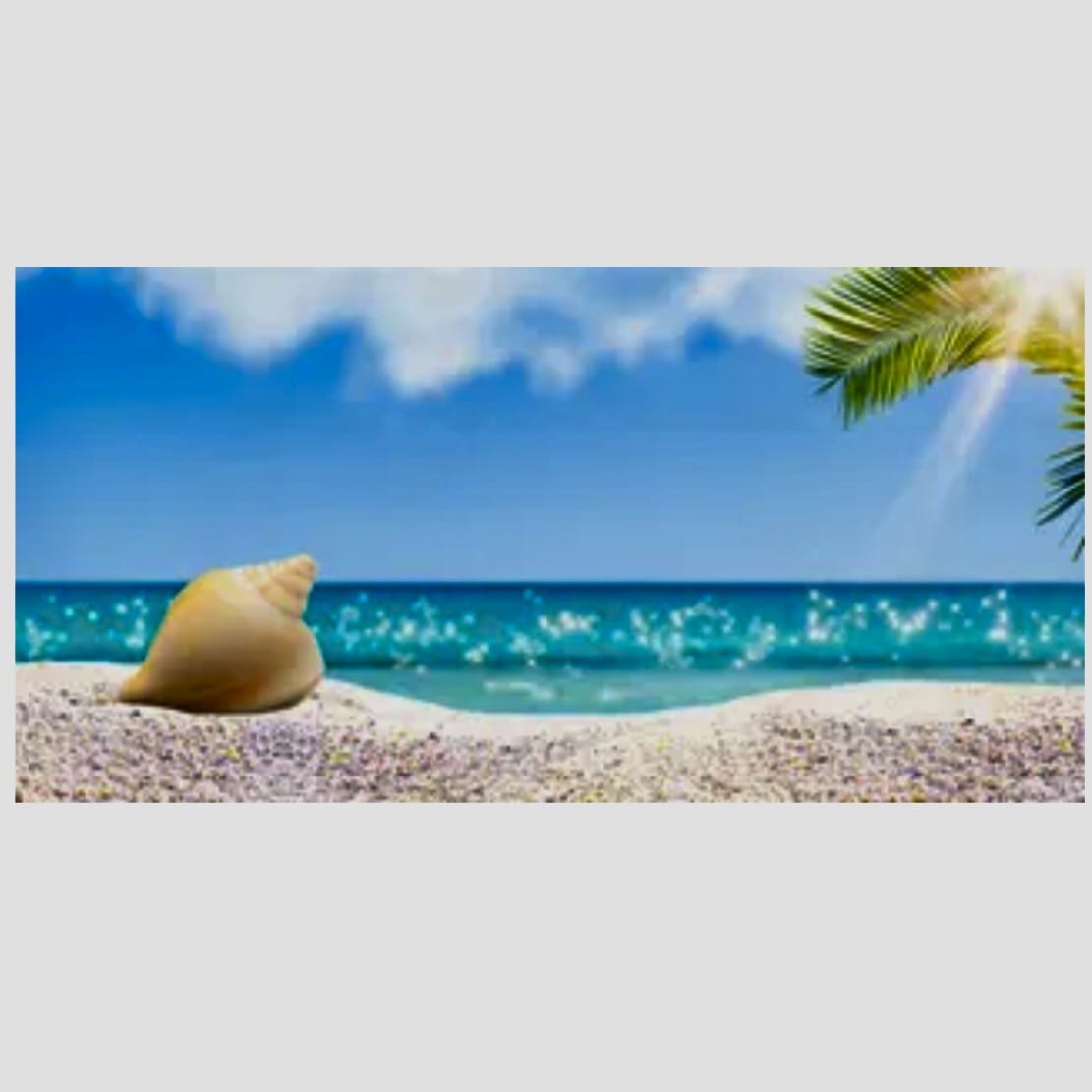 Hermit Beach Poster Background - Tank Terrarium Australia Aqua Natural