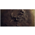 Jurassic Bones Poster Background - Tank Terrarium Australia Aqua Natural