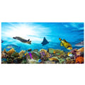 Marine Reef Poster Background - Tank Terrarium Australia Aqua Natural