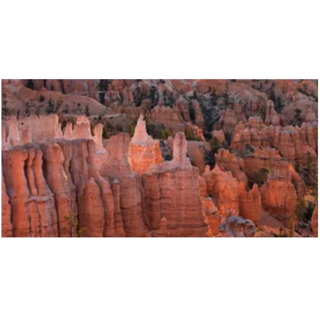 Red Canyon Poster Background - Tank Terrarium Australia Aqua Natural