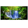 Tasmanian Rainforest Waterfall Poster Background - Tank Terrarium Australia Aqua Natural