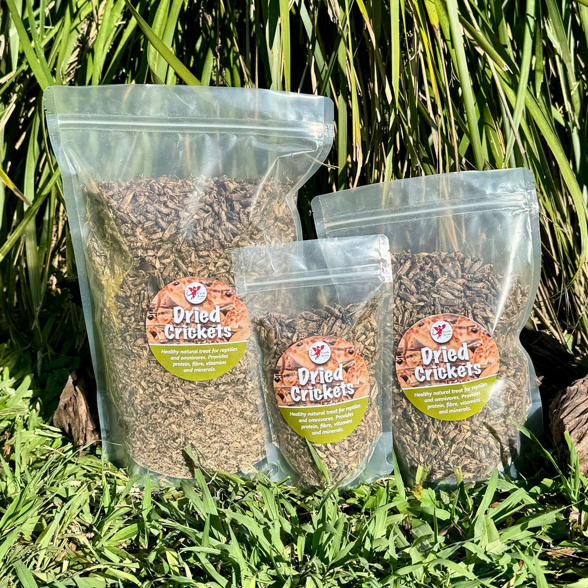 Dried Crickets - Reptile Realm - Tank Terrarium Australia Dried Insects