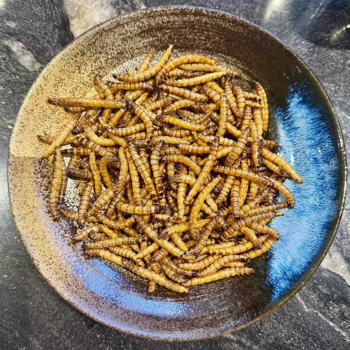Dried Giant Mealworms - Reptile Realm - Tank Terrarium Australia Dried Insects