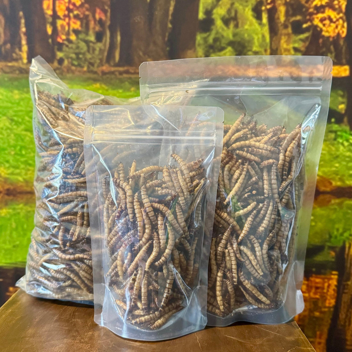 Dried Giant Mealworms - Reptile Realm - Tank Terrarium Australia Dried Insects