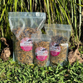 Dried Insect Medley - Reptile Realm - Tank Terrarium Australia Dried Insects