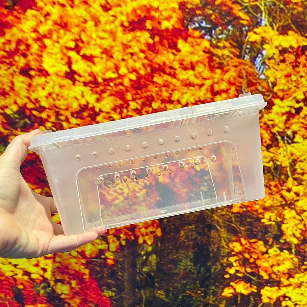 Stackable Hatchling Boxes - Multi-buy - Tank Terrarium Australia Nano Habitats