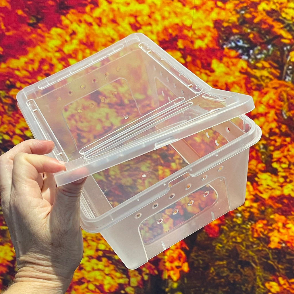 Stackable Hatchling Boxes - Multi-buy - Tank Terrarium Australia Nano Habitats