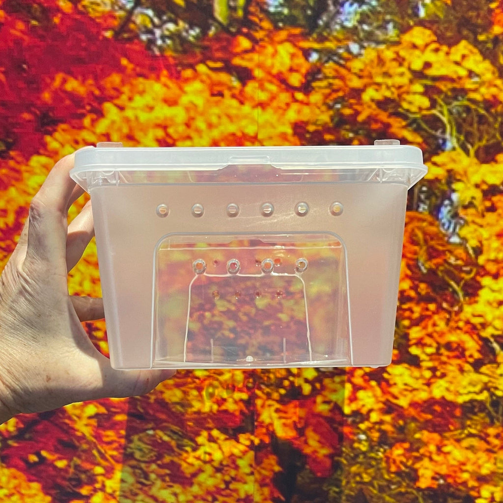 Stackable Hatchling Boxes - Multi-buy - Tank Terrarium Australia Nano Habitats