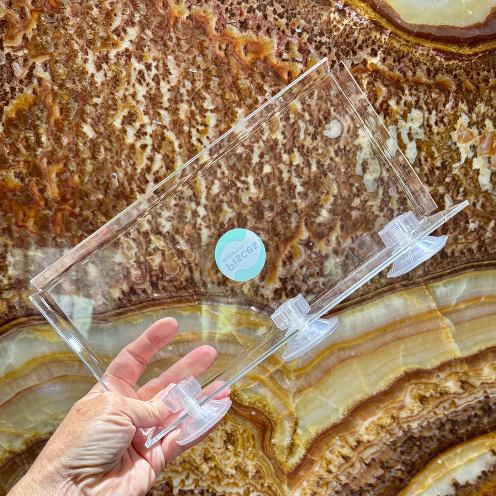 Acrylic Suction Shelf - Pisces Enterprises - Tank Terrarium Australia Aquascape Tools