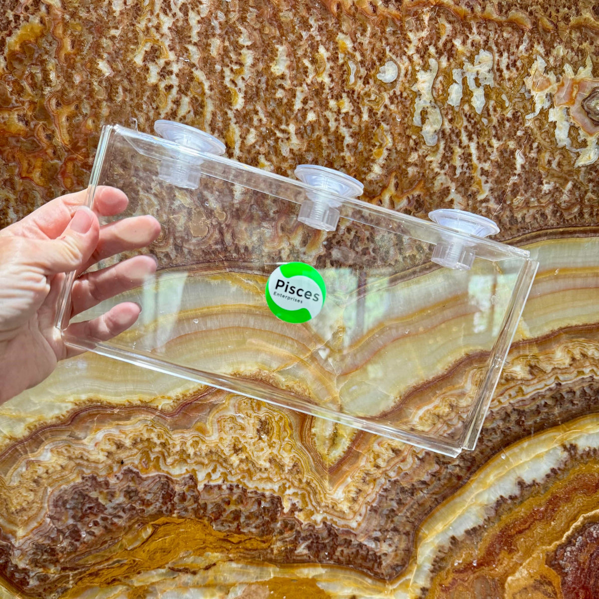 Acrylic Suction Shelf - Pisces Enterprises - Tank Terrarium Australia Aquascape Tools
