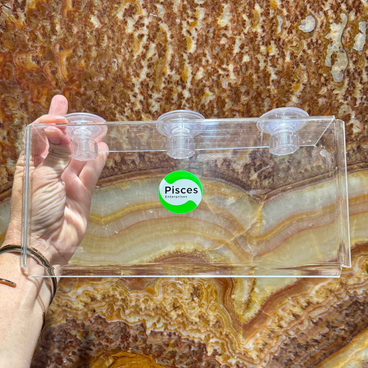 Acrylic Suction Shelf - Pisces Enterprises - Tank Terrarium Australia Aquascape Tools