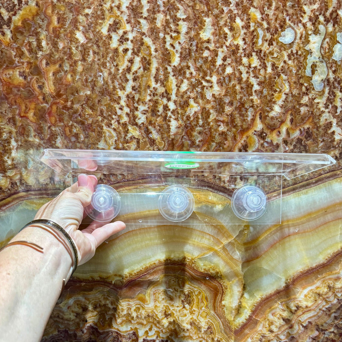 Acrylic Suction Shelf - Pisces Enterprises - Tank Terrarium Australia Aquascape Tools