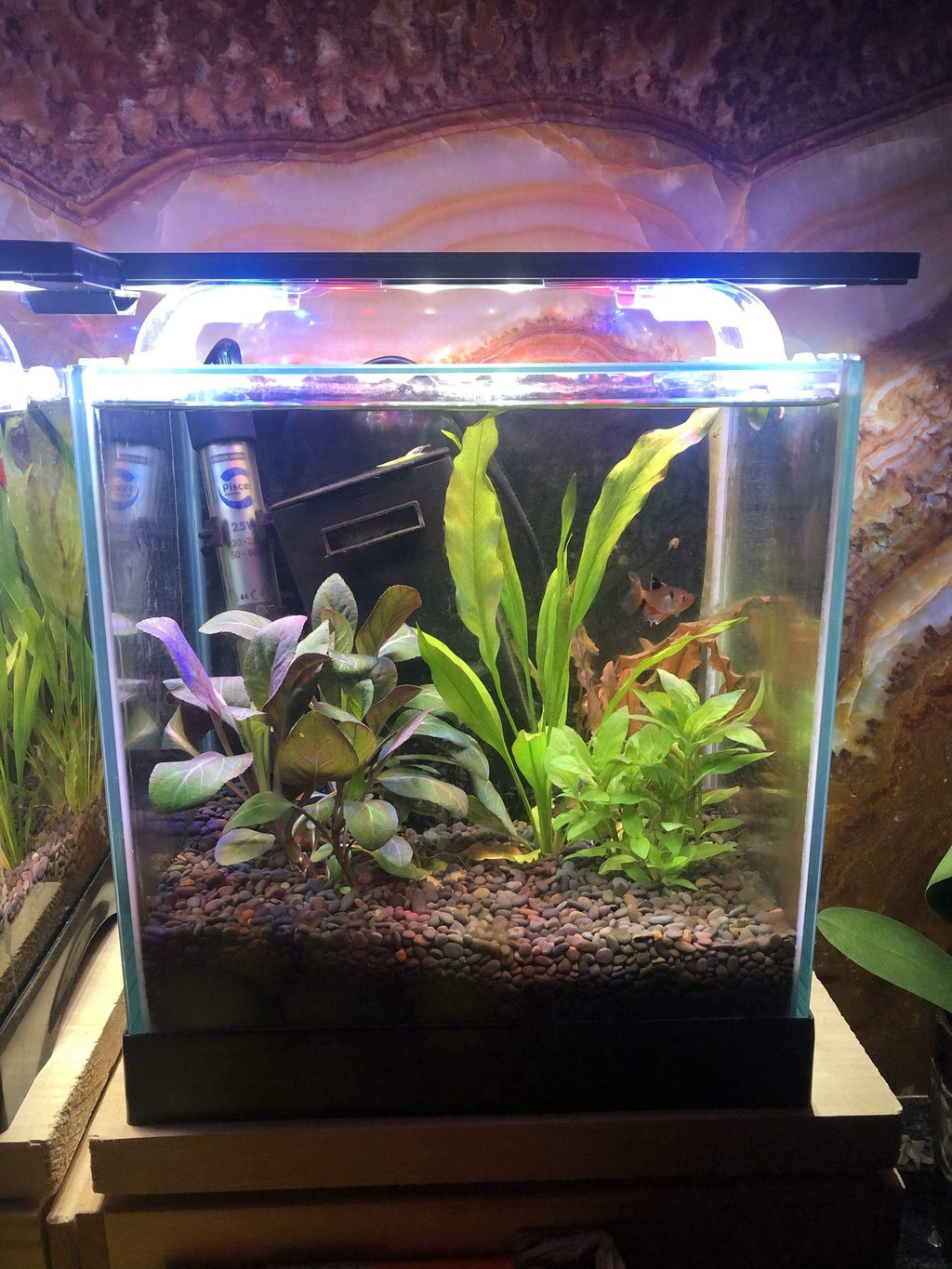 Pisces Aquatics LED Aquarium Light 35cm - Tank Terrarium Australia Aquarium Lights